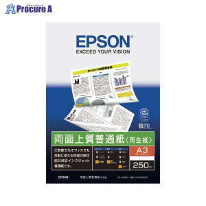 EPSON ʏ㎿ʎiĐj250 KA3250NPDR 72999 ZCR[Gv\()a559
