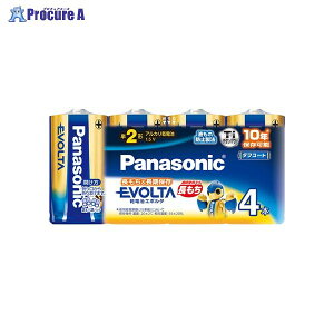 Panasonic G{^P2 4pbN VN LR14EJ/4SW 73806 pi\jbN()a559