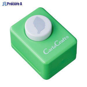 CARL Ntgp` Leaf CP-1[t 906121 J[()a559