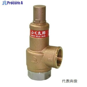 x SL38-D1 ӂY /SCSSفy0.05-0.1MPaz 50A SL38-D1 1015745 xyϕszi547