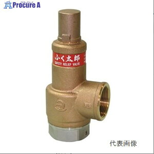 x SL38-D1k1 0.1MPa ӂY /SCSS25A SL38-D1K1 25A 1065317 xi547