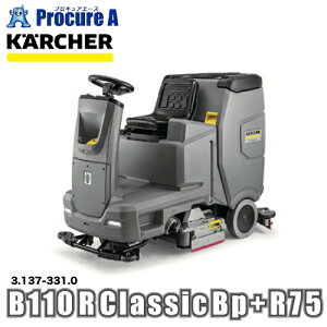 Pq[ @ B 110 R Bp Classic +R75 3.137-331.0 ԏn YA513
