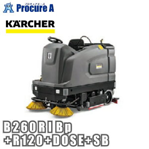 Pq[ 掮@ B 260 R I Bp +R120+DOSE+SB 3.137-290.0 ԏn YA513