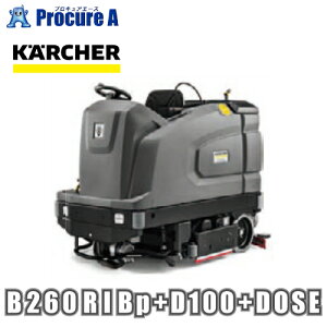 Pq[ 掮@ B 260 R I Bp +D100+DOSE 3.137-291.0 ԏn YA513