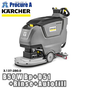 Pq[ @ B 50 W Bp +D51+Rinse+Autofill 3.137-280.0 ԏn YA513