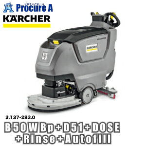 Pq[ @ B 50 W Bp +D51+DOSE{Rinse+Autofill 3.137-283.0 ԏn YA513