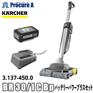 y\񒍕zPq[ karcher Ɩp @ [d/obe[t 3.137-450.0 BR 30/1 C Bp obe[p[vXZbg y[J[iF[11{i2025/10/3_jzYA513