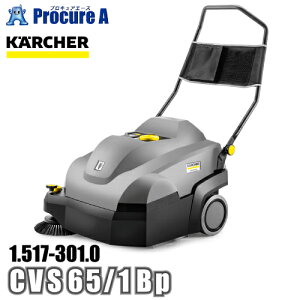 �P���q���[ karcher �Ɩ��p �J�[�y�b�g�X�C�[�p�[ 1.517-301.0 CVS 65/1 Bp ��YA513