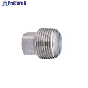 �L�b�c PP SCS13A �v���O�y6A-20A�FSUS304�z 15A PP 15A ��1007560 �L�b�c��i547