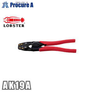 uebNX H [qEX[uiPEBjp AK19A`mF@\{̂ɓAƃXbLI