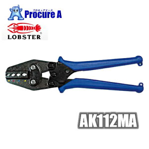 uebNX@AK112MA ≏핢t[qp@Hgp͈0D3E0D5E1D25E2E3D5E5D5 /Gr/LOBTEX/LOBSTER/uX^[/