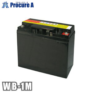 �}�C�g�H�� ���o�b�e���[ (20A×12V) WB-1M �y������ϕs�z��YA509