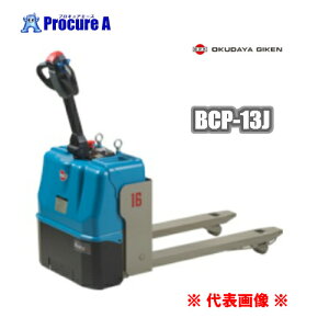 Z OPKBCP-13J Lb`pbggbN AeBG[X őύڗʁF1300Kgya509