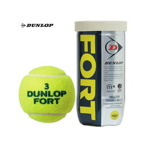 _bv DUNLOP dejX{[ FORT 2 1 {ejX ۃejXA F DFFYL2TIN