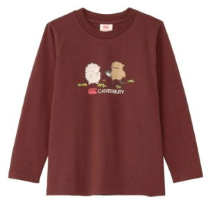 J^x[ LbY  TVc CANTERBURY OX[u eBVc Or[ X|[c JWA EFA q AEgbg Z[ RAJ44829