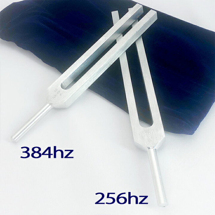 楽天市場】【ハイグレード】ボディーチューナー2本セット【BIOSONICS 