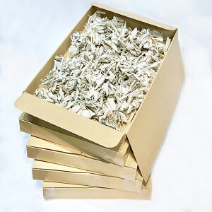 zCgZ[W500gyzNX^[yIʁz100gy5zňlɒy_zyn[uzJtHjAYyz򉻁yi`zAyRXpz