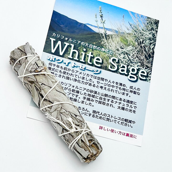 楽天市場】ホワイトセージ【18g〜25g】ミニワンド【送料込み 