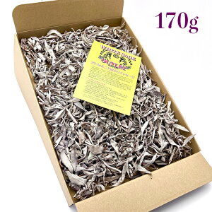 yzzCgZ[WI[~bNX170giNX^[E[tENbV[tEv~A[t̃~bNXjŷꂽĒAzyq[Oz_yi`zA