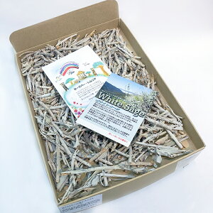 zCgZ[Wo[140gyz}yIʁzňlɒy_zyn[uzJtHjAYyz򉻁yi`zAyRXpzs