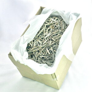 zCgZ[Wo[700gyz}yIʁzňlɒy_zyn[uzJtHjAYyz򉻁yi`zAyRXpzsyƖpz