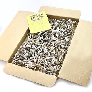 zCgZ[W100gyzNX^[yIʁzňlɒy_zyn[uzJtHjAYyz򉻁yi`zAyCG[xzAEgbg