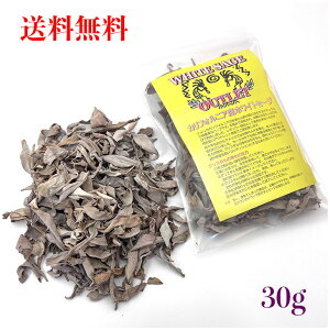 yzzCgZ[WNbV35gJ[hygtzAEgbgy}Ȃz[tŷꂽĒAzyCG[xz_yꂽ傫߂̗tzyq[