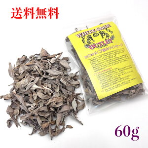 yzzCgZ[WNbV70gJ[hygtz35g×2܁yꂽ傫߂̗tz@AEgbgy}Ȃz[tŷꂽĒAzyCG[xz_yq[