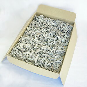 zCgZ[WƖp[t300gytCőIʁz[t2ŔzŷꂽĒAzňlɒy_zyn[uzJtHjAYyz򉻁yi`zAyRX