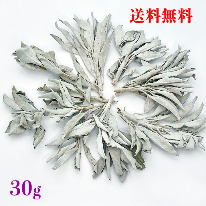 楽天市場】【送料無料】高品質【ホワイトセージ】30g【クラスター】無 