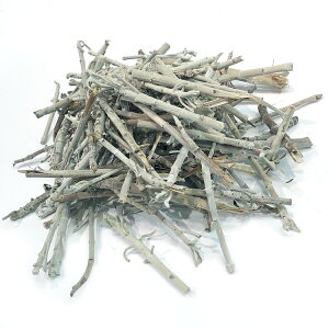 zCgZ[Wo[70gyz}yIʁzňlɒy_zuyszyn[uzJtHjAYyz򉻁yi`zAyRXpz