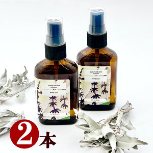 y݁zzCgZ[Wy̓Xv[z60ml2{ZbgyWjp[bWzJtHjAYy_zi`yAJzn[uyz₵yq[OzA}