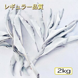 yizzCgZ[WNX^[2kgyƖpz₵yJtHjAYz{bNXyz_yq[OzAJyhCzyyVňlɒzFy