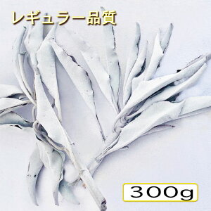 yizzCgZ[WNX^[300gyƖpz₵yJtHjAYz{bNXyz_yq[OzAJyhCzyyVňlɒzFy