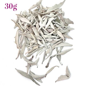 yzzCgZ[WyM[iz[t30gi15g×2܁jy򉻁z_yq[OzAJyJtHjAzq[Oyi`z厩ŔyRzy