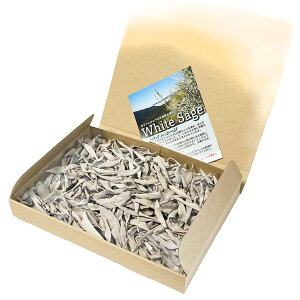 yzzCgZ[W70gŷꂽĒAz[tytCőIʁzňlɒy_zyn[uzJtHjAYyz򉻁yi`zAyRXpz}Ȃ