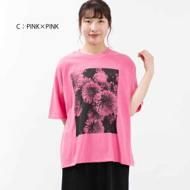 【最大2,000円OFFクーポン】ichi イチ フォトプリントTシャツ 240154 ナチュラル ファッション お出掛け デイリー コーデ 服 代 大人 カジュアル シンプル トラッド