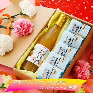 yzĎpCW[X100W[}[~5 pCibv W[X ʏ`gsJ t[c W[}~[ [܁[݁[  Ԃ 蕨  ̓  