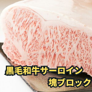  Mtg   j v[g јa T[C ubN 1kg 5`10lO | BBQ o[xL[ ؂ Xe[L [Xgr[tp ڋ LO j  
