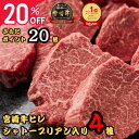 20％オフクーポン+P20倍 御歳暮 お買物マラソン 11月4日20時～11日1時59分59秒 肉 「ランキング受賞！」 御祝 ギフト 宮崎牛 ステーキ ヒレ | 宮崎牛 シャトーブリアン入 ヒレステーキ 食べ比べセット シャトーブリアン ミニョン テート サイドマッスル 400g 800g 1200g 御礼