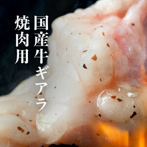  MA ēp2~10lOyY MA ēp i300g/500g/900gjzY z MA Ⓚ BBQ o[xL[  Ă MA  Ԑ疇iAJZ}Cj NxQ VN 