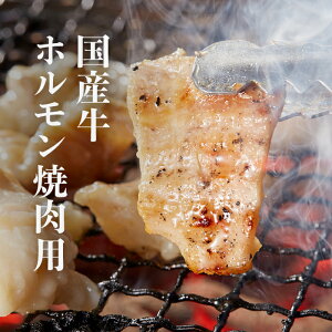  Mtg  z ēp2~10lO Y V}`E ēp i300g/500g/900gjz V}`E Ⓚ BBQ o[xL[  Ă 咰 NxQ VN 󏭕 