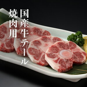  Mtg v[g Y e[ ēp2~10lO | 300g 500g 900g z Ⓚe[X[v Ⓚ ԕ BBQ o[xL[  Ă t e[  NxQ 󏭕