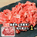 御歳暮 肉 ギフト 送料無料 プレゼント お徳用 国産牛 切り落とし 10人前 | 切り落とし 1kg 1000g 500g×2 カレー 牛丼 炒め物 すき焼き 冷凍 鮮度抜群 新鮮 記念日 御祝 贈答用 お取り寄せ