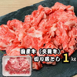 Ε  Mtg  v[g p Y ؂藎Ƃ 10lO | ؂藎Ƃ 1kg 1000g 500g×2 J[  uߕ Ă Ⓚ NxQ VN LO j p 