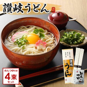 讃岐うどん 4束セット つゆ付 メール便 ポスト投函 送料無料 乾麺 国産 香川県産 ざるうどん 冷やしうどん 夜食 保存食 非常食 時短調理 ギフト プレゼント 粗品 販促品 ポイント消化
