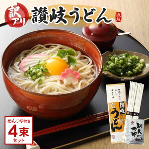 訳アリ つゆ付 讃岐うどん 4束セット ざるうどん ポスト投函 送料無料 食品ロス削減 SDGs お試し 乾麺 国産 香川県産 非常食 夜食 ポイント消化