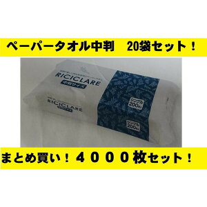 y[p[^I VO 200 20܃Zbg y[p^I 225X220mm `N[ \h Ɩp ƒp ܂Ƃߔ ΍  \ XgbN ЊQ oCLO ēX ē |