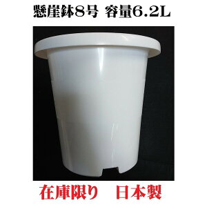 Aؔ R 8 zCg  { PKC Aؔ 킢  |bg Vv Ɩp ƒp K[fjO ct ۈ牀 wZ |Cg