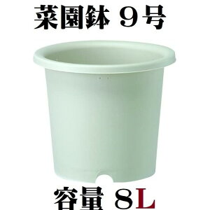 ؉ 9  ~JQ MTCY xŒ茊t Y y   ϗtA ƒ؉ | { e Aؔ n Vv Ɩp ƒp K[fjO ct ۈ牀 wZ |Cg